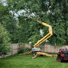 Mulching Services in Dry Run, OH